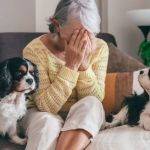 How to Recognize and Treat Pet Anxiety