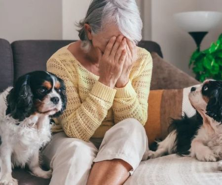 How to Recognize and Treat Pet Anxiety