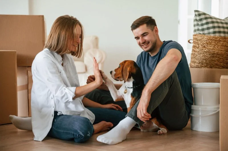 How to Manage Your Pet's Stress and Anxiety