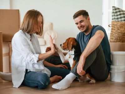 How to Manage Your Pet's Stress and Anxiety