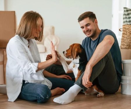 How to Manage Your Pet's Stress and Anxiety