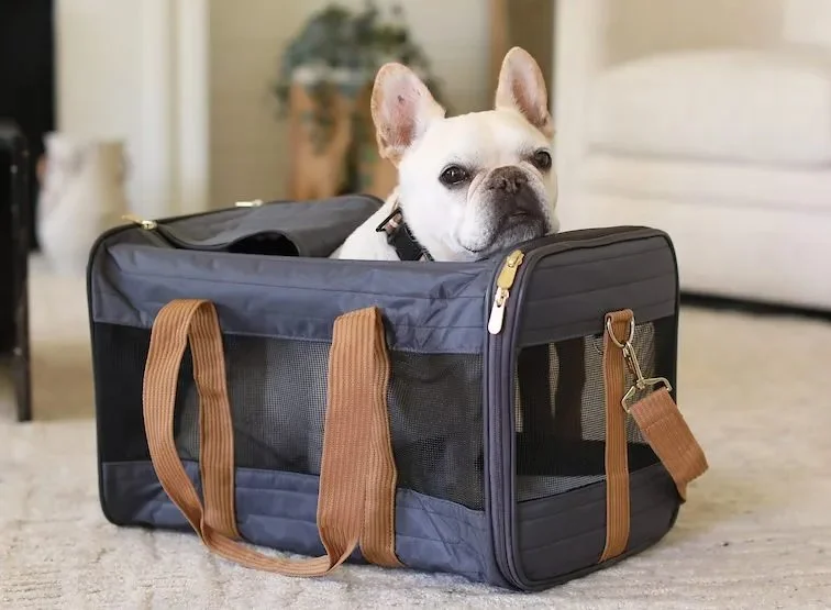 How to Choose the Best Pet Carrier for Air Travel
