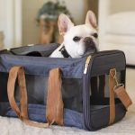 How to Choose the Best Pet Carrier for Air Travel