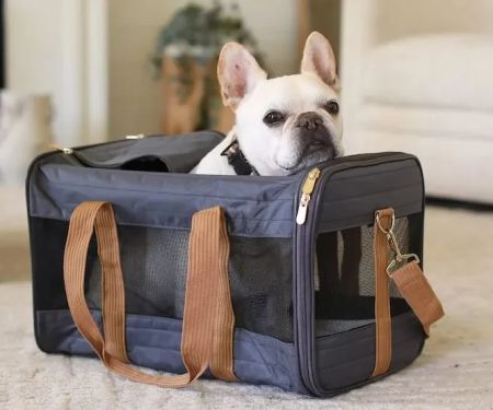 How to Choose the Best Pet Carrier for Air Travel