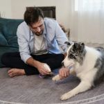 How to Manage and Prevent Seasonal Pet Allergies