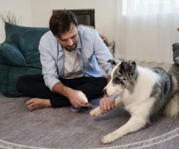 How to Manage and Prevent Seasonal Pet Allergies