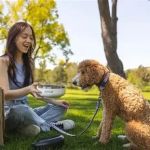 How to Help Your Pet Stay Comfortable During Hot Weather