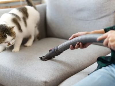 How to Prevent and Treat Giardia in Pets: A Comprehensive Guide