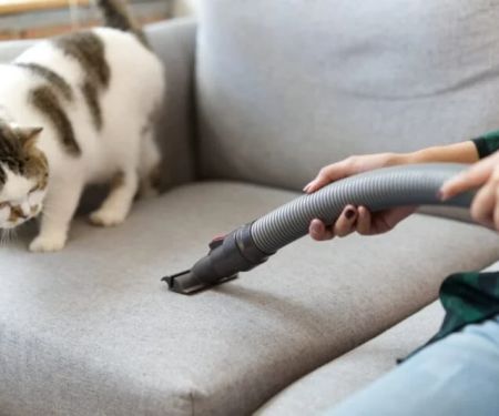 How to Prevent and Treat Giardia in Pets: A Comprehensive Guide