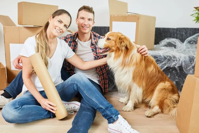 How to Help Your Pet Cope with Moving to a New Home