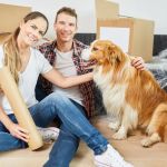 How to Help Your Pet Cope with Moving to a New Home