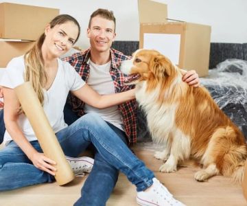 How to Help Your Pet Cope with Moving to a New Home