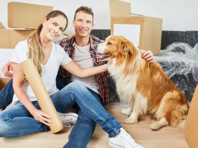 How to Help Your Pet Cope with Moving to a New Home