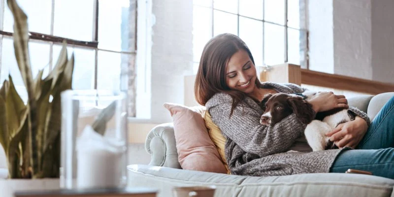How to Help Your Pet Adjust to a New Environment