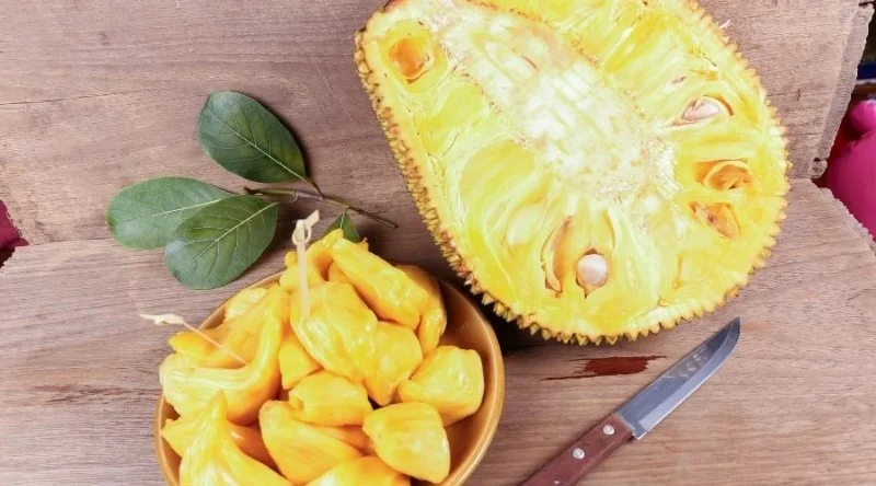 Can Dogs Eat Jackfruit — Tropical Fruit Safety and Sticky Sap Handling Tips