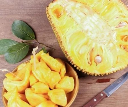 Can Dogs Eat Jackfruit — Tropical Fruit Safety and Sticky Sap Handling Tips