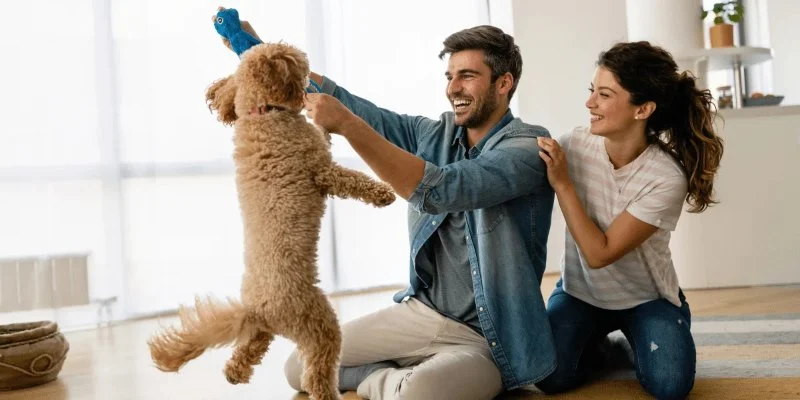 How to Choose the Right Pet Insurance for Your Pet