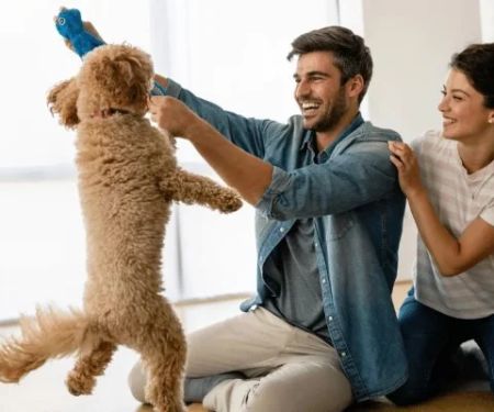 How to Choose the Right Pet Insurance for Your Pet