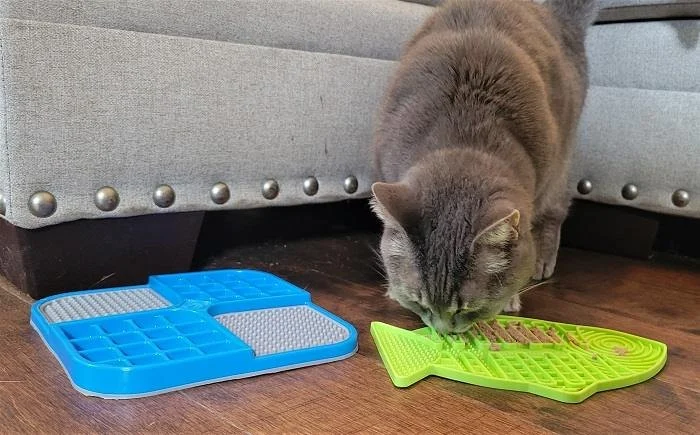 Best Cat Slow Feeders for Greedy Eaters: Puzzle Bowls and Mat Options Explained