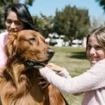 Dog Intervertebral Disc Disease Symptoms in Dachshunds Explained