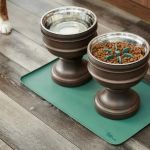 Best Dog Bowl Mats to Stop Sliding — Silicone and Bamboo Options With Non-Slip Backing | Pet Feeding Guide