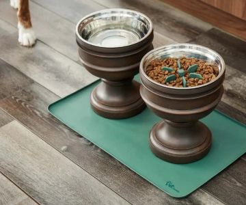 Best Dog Bowl Mats to Stop Sliding — Silicone and Bamboo Options With Non-Slip Backing | Pet Feeding Guide