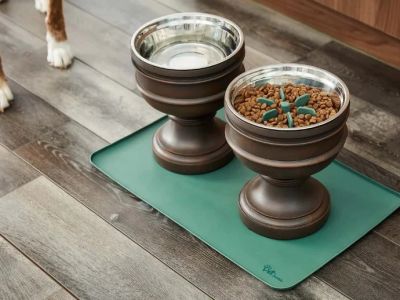 Best Dog Bowl Mats to Stop Sliding — Silicone and Bamboo Options With Non-Slip Backing | Pet Feeding Guide