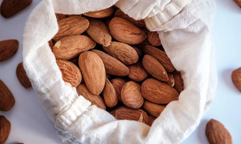 Can Dogs Eat Almonds — Are Almonds Safe or a Choking Hazard for Small Dogs?
