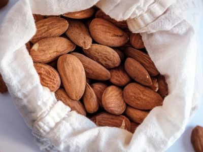 Can Dogs Eat Almonds — Are Almonds Safe or a Choking Hazard for Small Dogs?