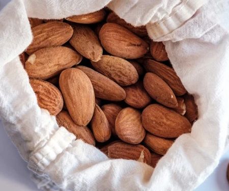 Can Dogs Eat Almonds — Are Almonds Safe or a Choking Hazard for Small Dogs?