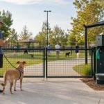 Pet-Friendly Park Visits: Check the Rules Before You Go