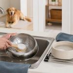 Pet Food and Water Bowls: A Cleaner Daily Routine