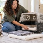 Pet Carrier Cleaning: Liner, Ventilation, and Drying